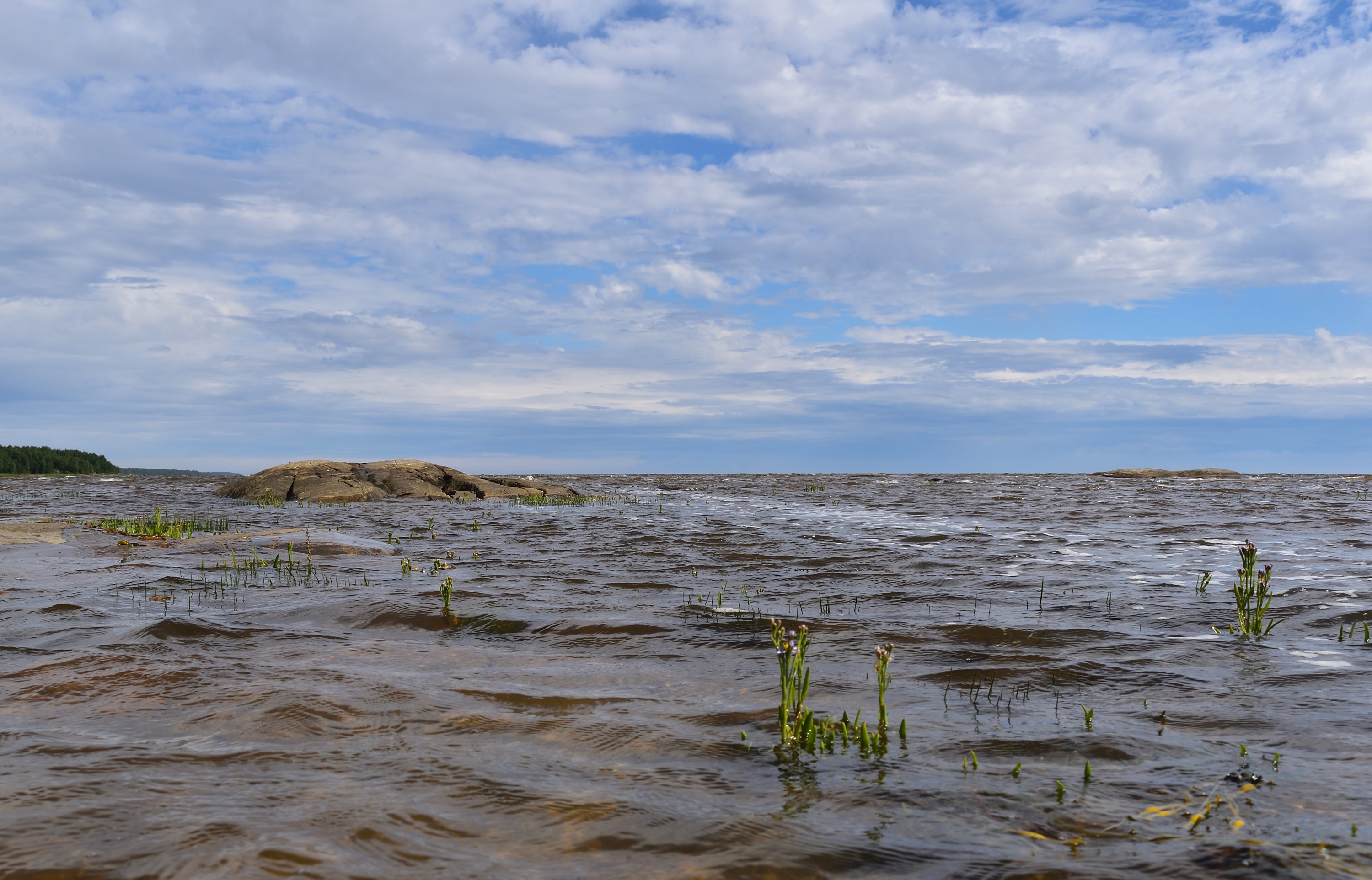 Фотография Александра Лазутина Фотография Александра Лазутина