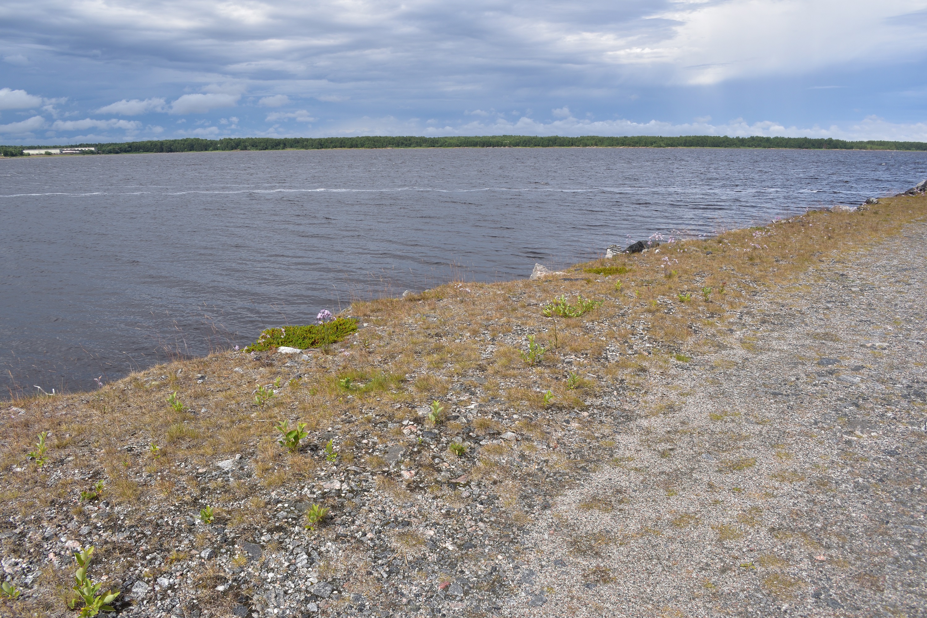 Фотография Александра Лазутина Фотография Александра Лазутина