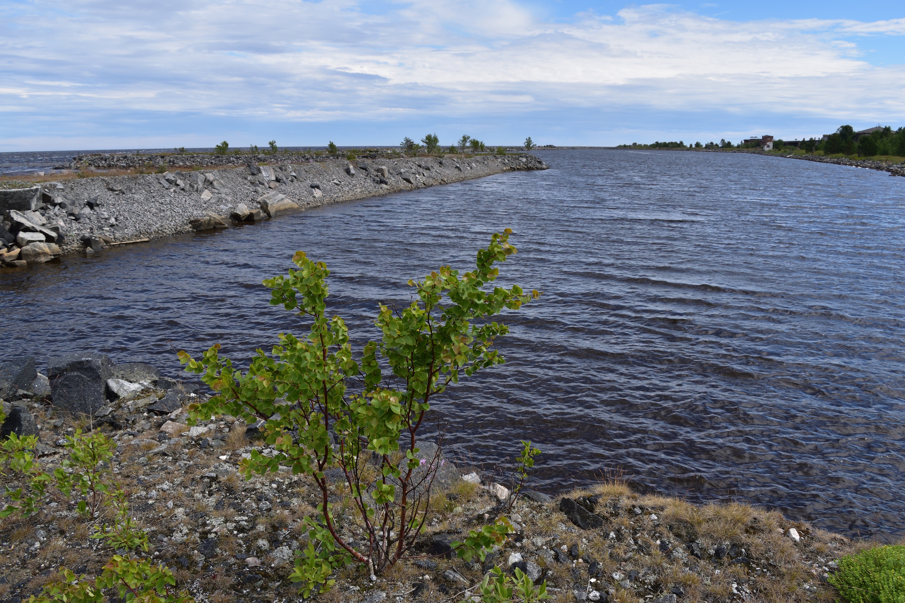 Фотография Александра Лазутина Фотография Александра Лазутина
