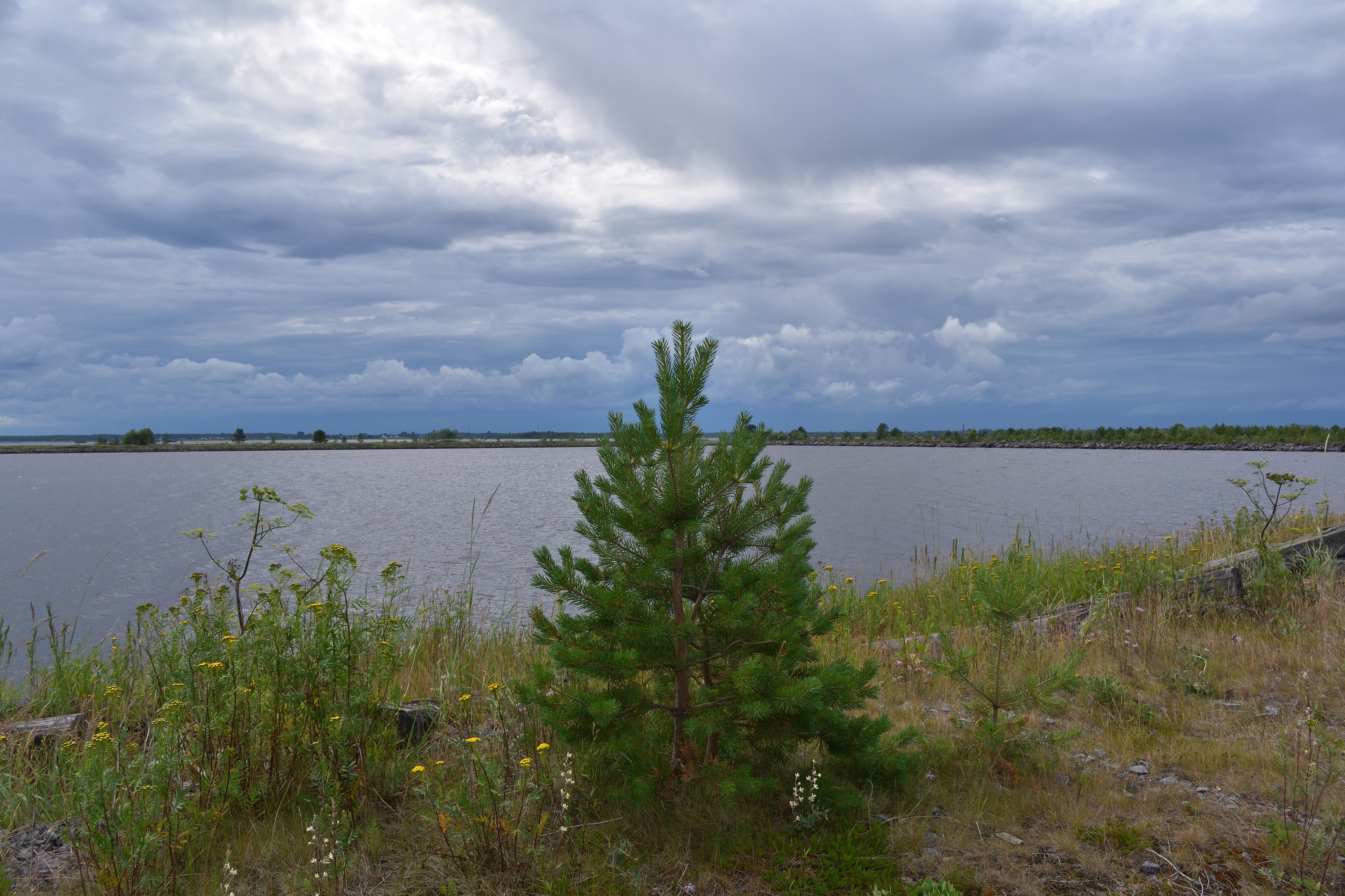 Фотография Александра Лазутина Фотография Александра Лазутина
