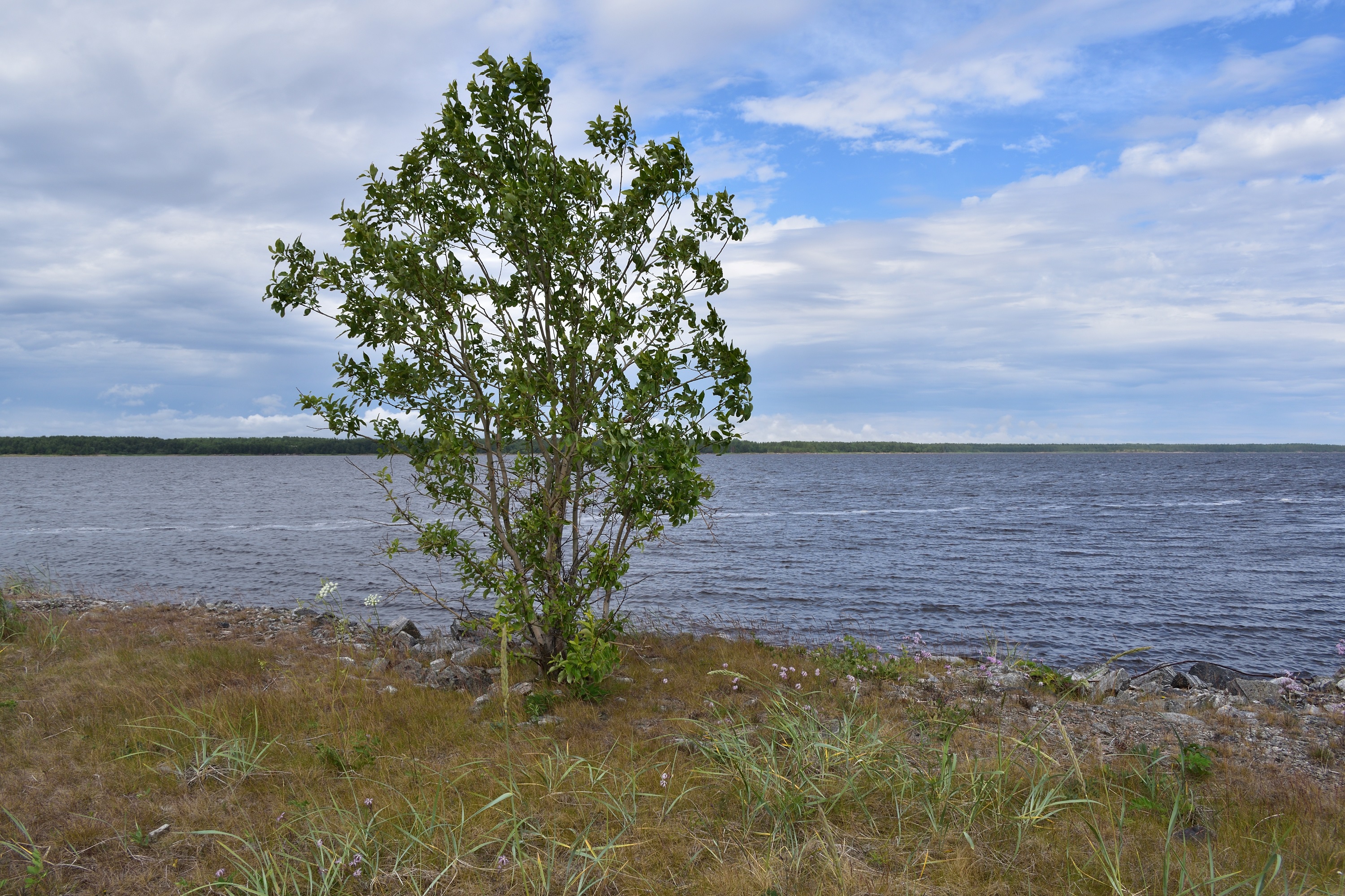 Фотография Александра Лазутина Фотография Александра Лазутина