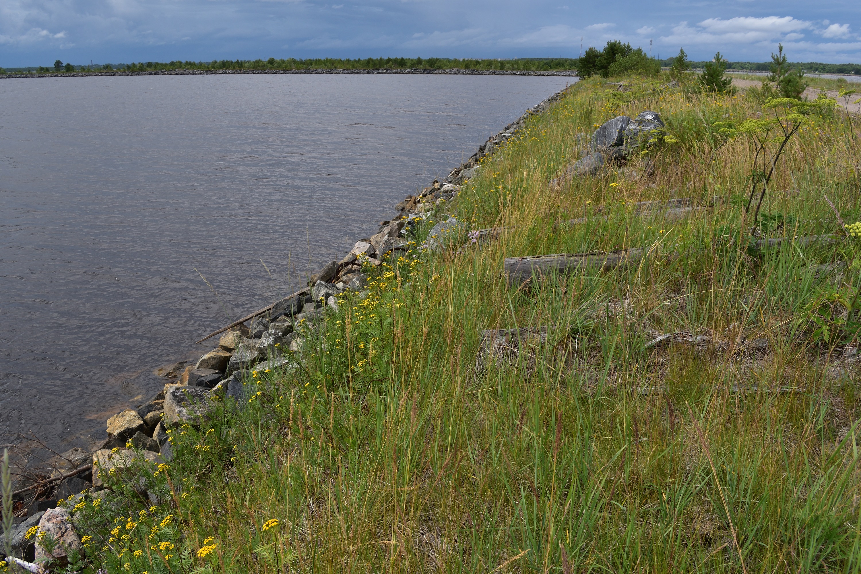 Фотография Александра Лазутина Фотография Александра Лазутина