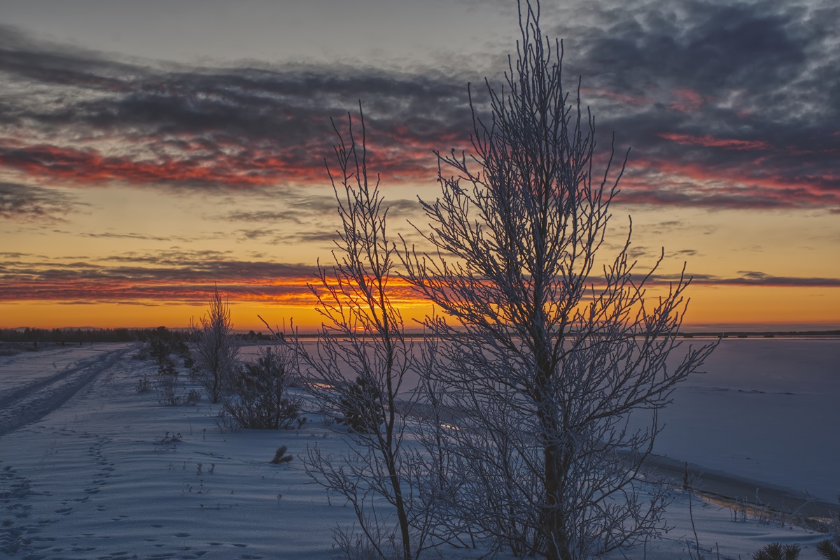 Фотография Александра Лазутина Фотография Александра Лазутина