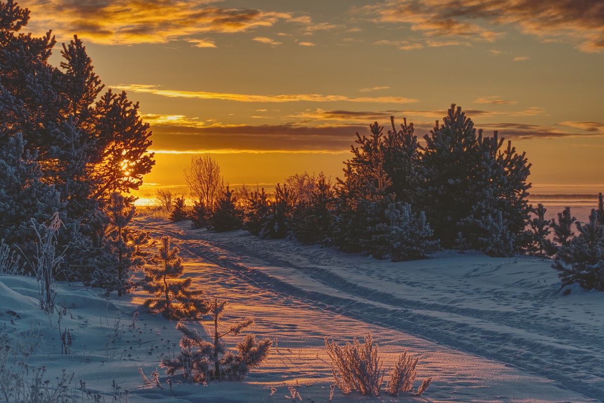 Фотография Александра Лазутина Фотография Александра Лазутина