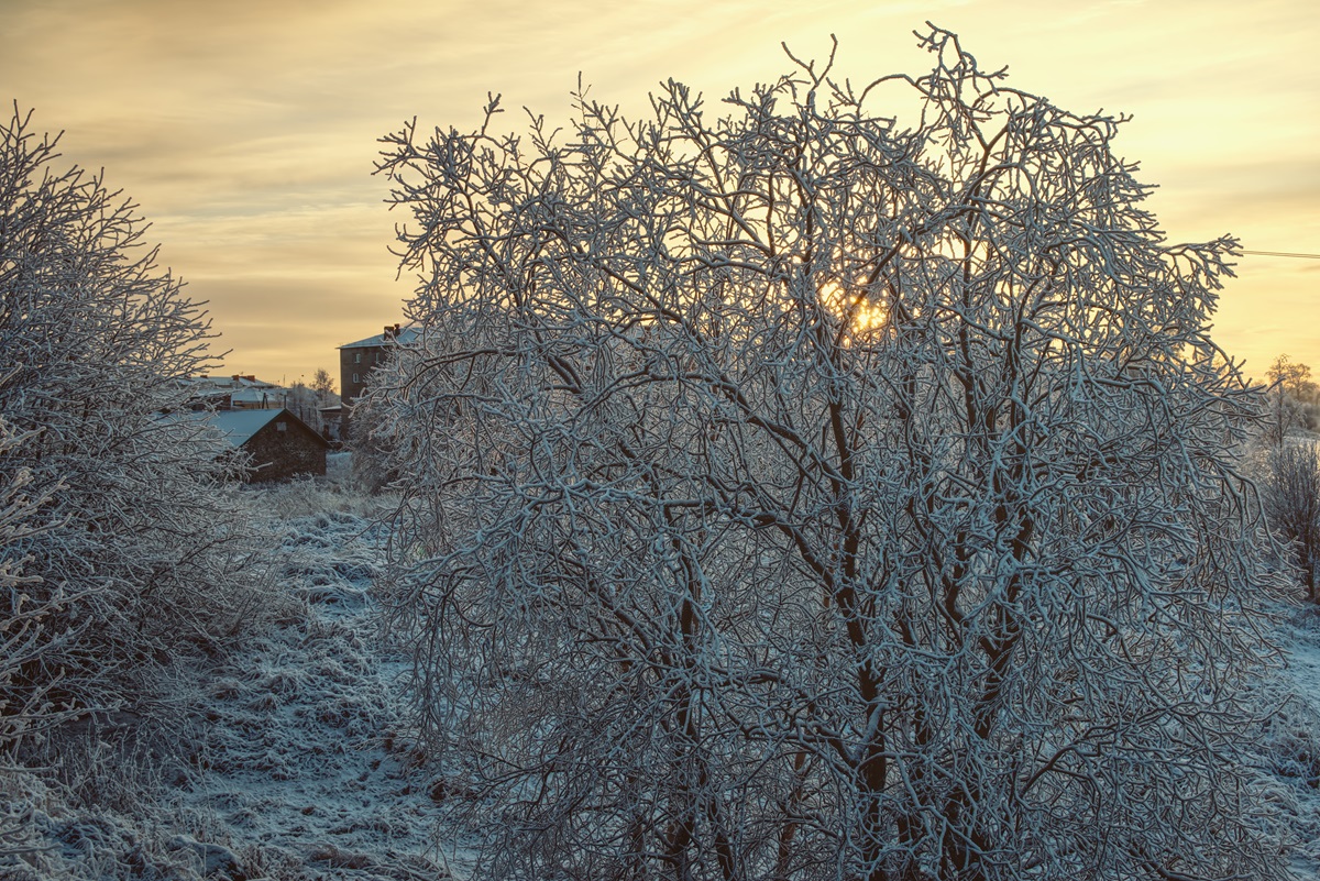 Фотография Александра Лазутина Фотография Александра Лазутина
