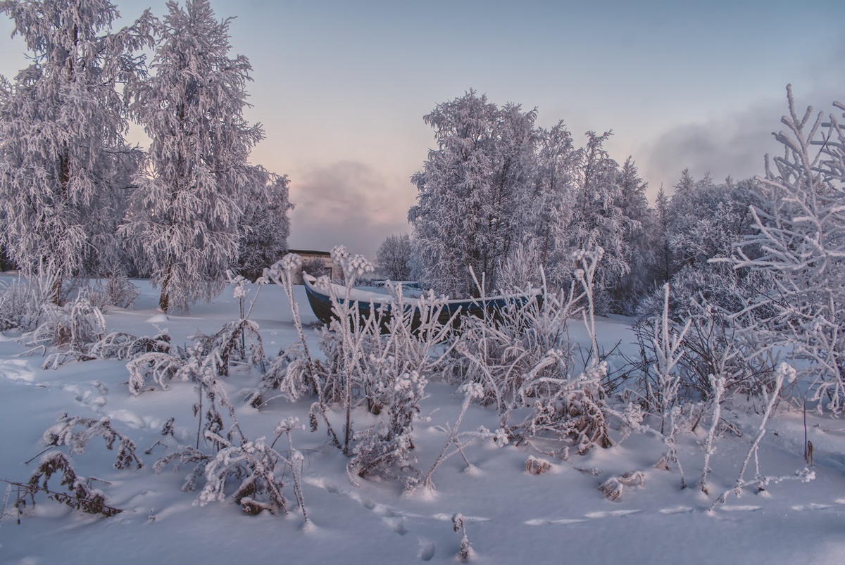 Фотография Александра Лазутина Фотография Александра Лазутина