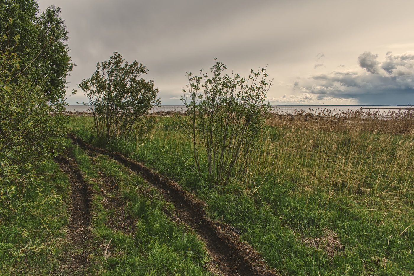 Фотография Александра Лазутина Фотография Александра Лазутина