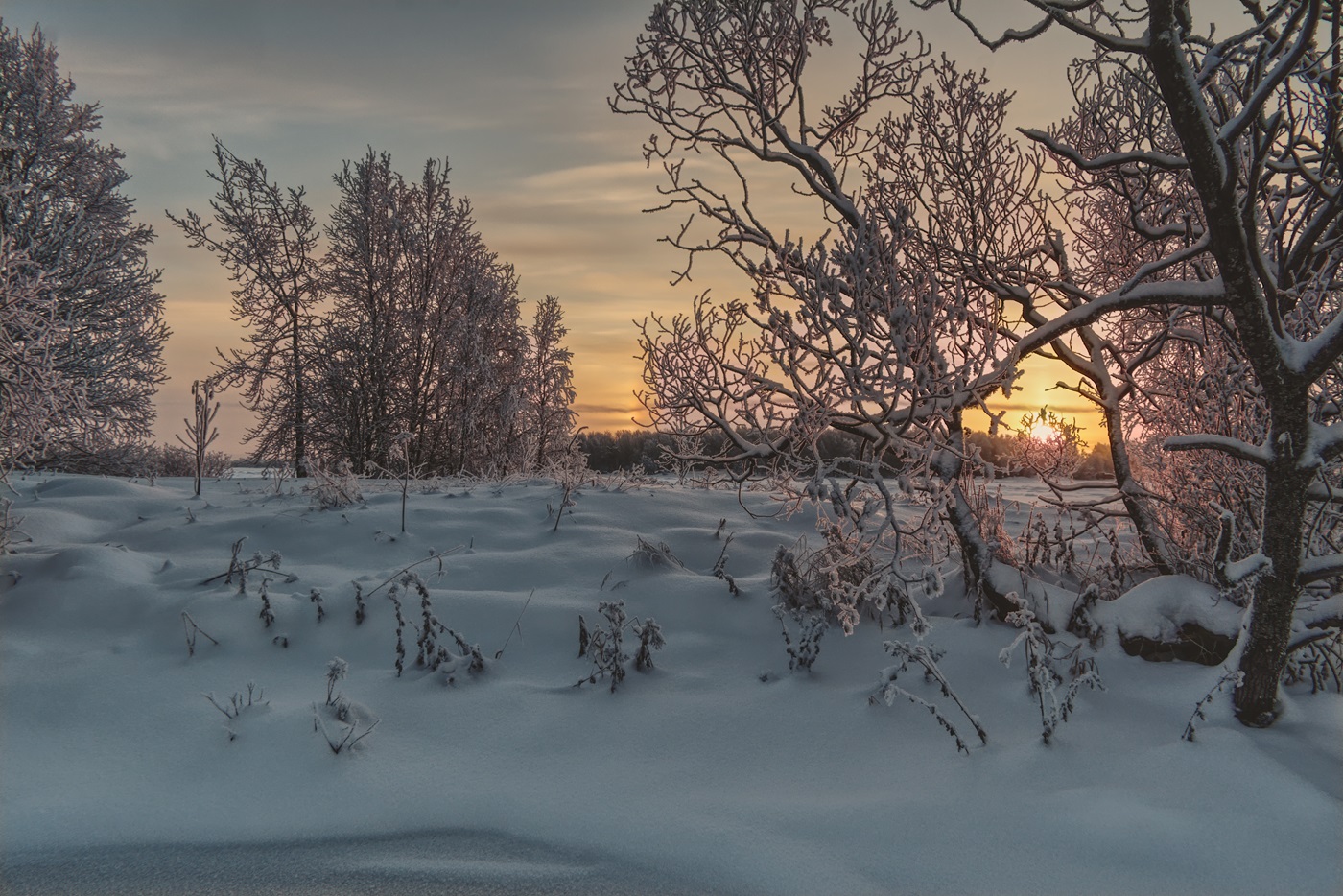 Фотография Александра Лазутина Фотография Александра Лазутина