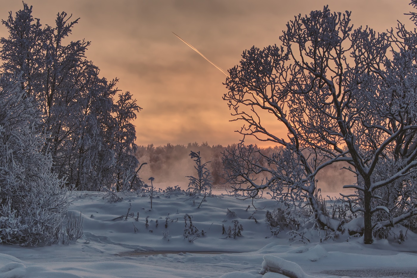 Фотография Александра Лазутина Фотография Александра Лазутина