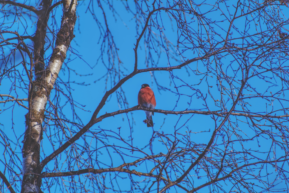 Фотография Александра Лазутина Фотография Александра Лазутина