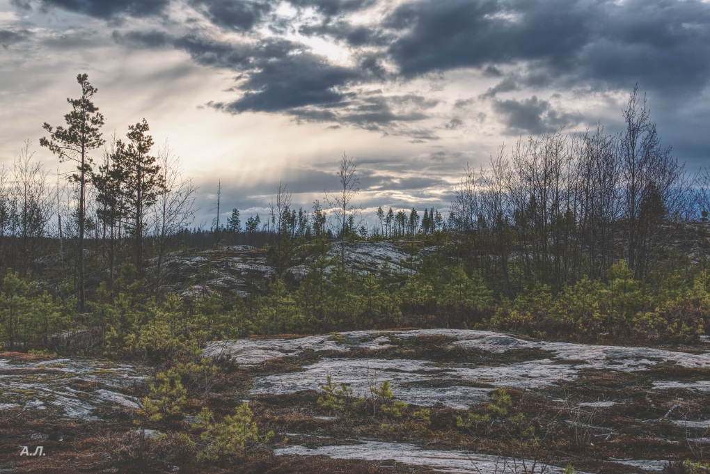 Фотография Александра Лазутина Фотография Александра Лазутина