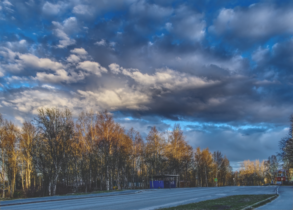 Фотография Александра Лазутина Фотография Александра Лазутина