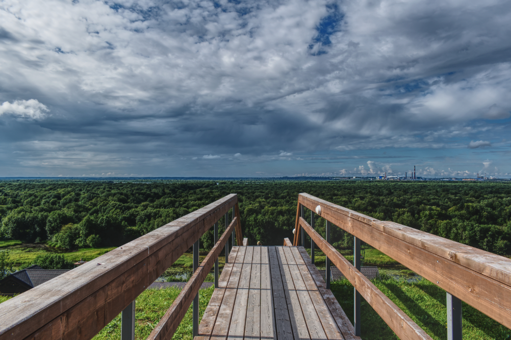 Фотография Александра Лазутина Фотография Александра Лазутина