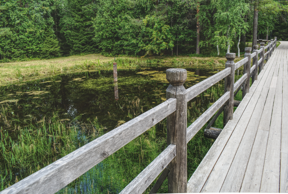 Фотография Александра Лазутина Фотография Александра Лазутина