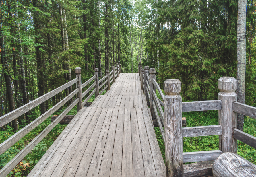 Фотография Александра Лазутина Фотография Александра Лазутина