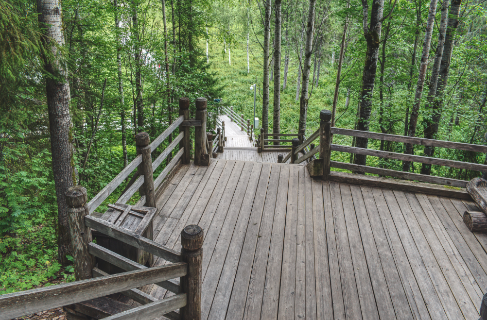 Фотография Александра Лазутина Фотография Александра Лазутина