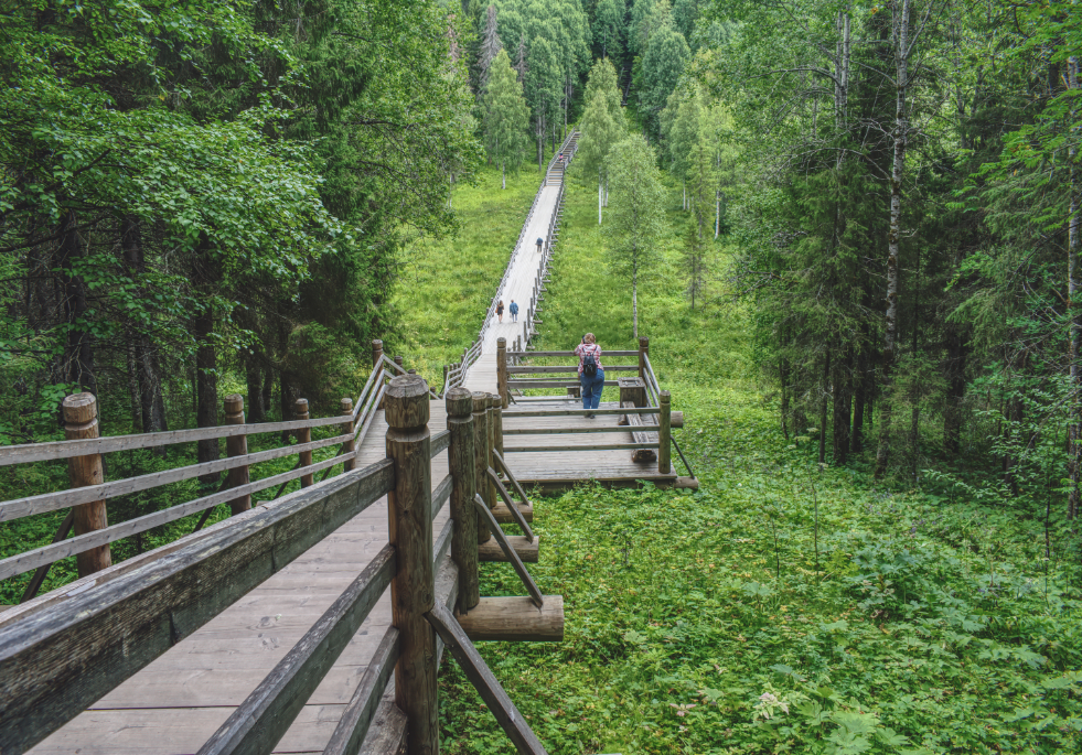 Фотография Александра Лазутина Фотография Александра Лазутина