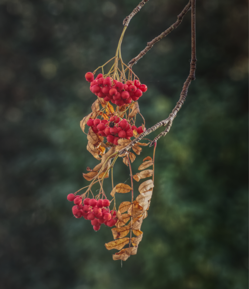 Фотография Александра Лазутина Фотография Александра Лазутина