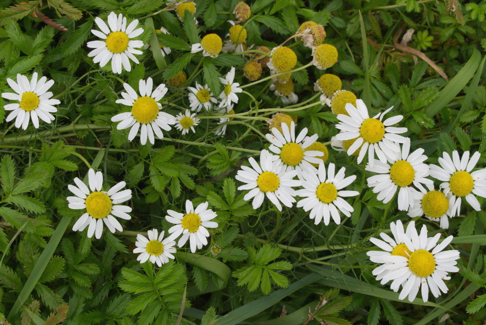 Фотография Александра Лазутина Фотография Александра Лазутина