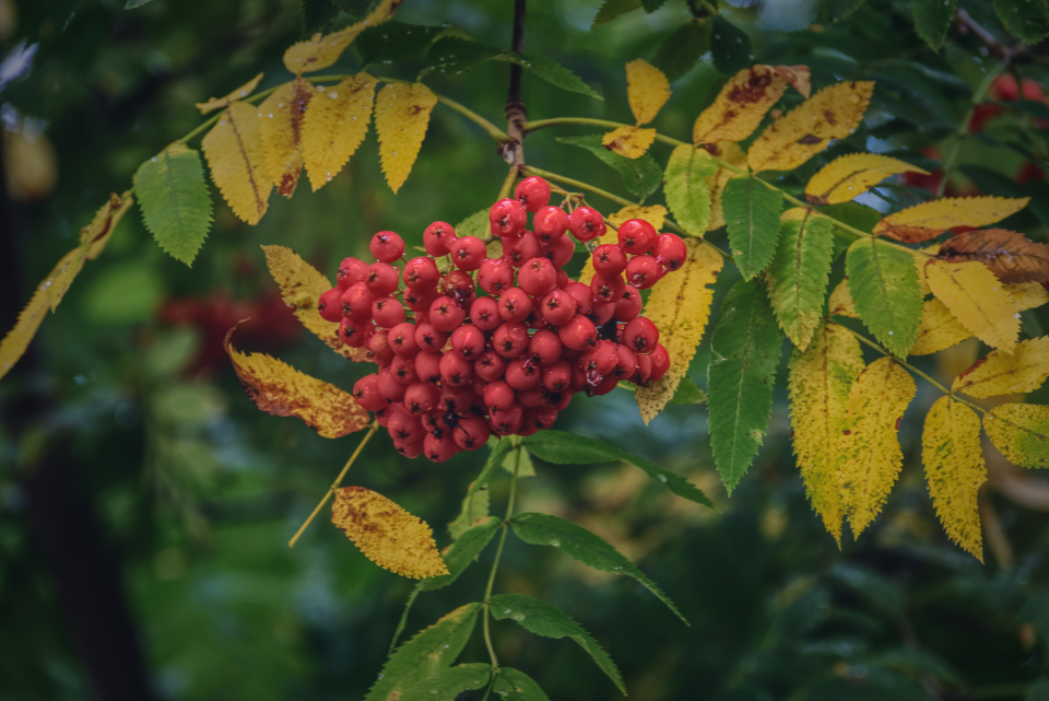 Фотография Александра Лазутина Фотография Александра Лазутина