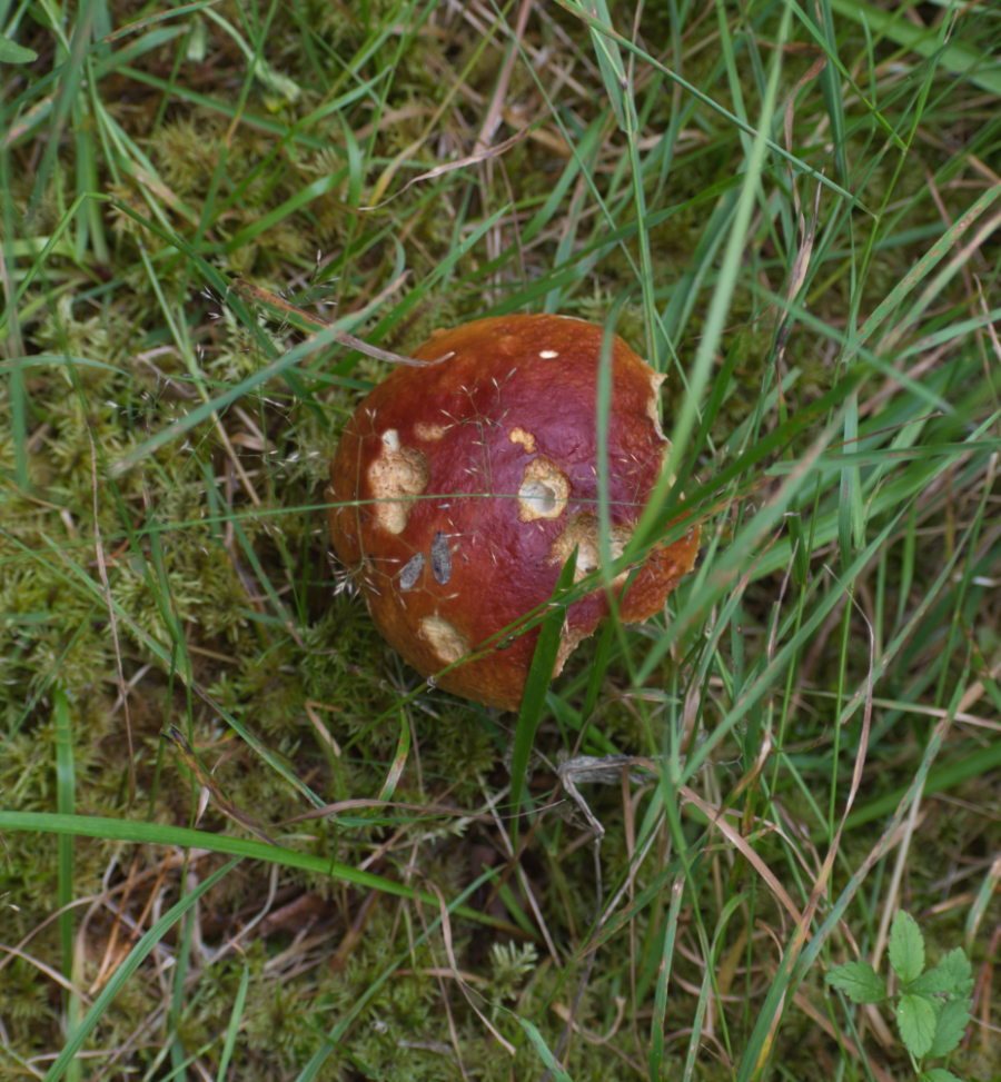 Фотография Александра Лазутина Фотография Александра Лазутина