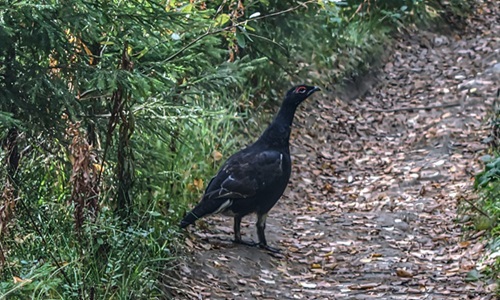Фотография Александра Лазутина Фотография Александра Лазутина