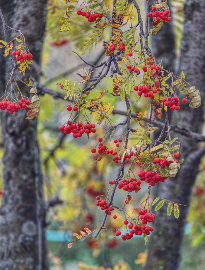 Фотография Александра Лазутина Фотография Александра Лазутина