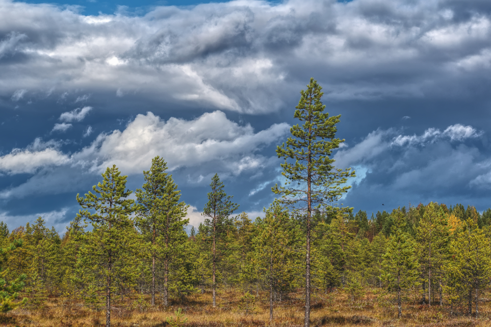 Фотография Александра Лазутина Фотография Александра Лазутина