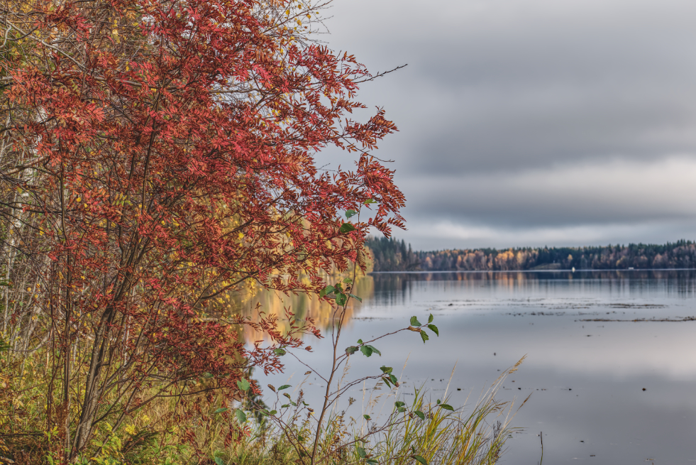 Фотография Александра Лазутина Фотография Александра Лазутина