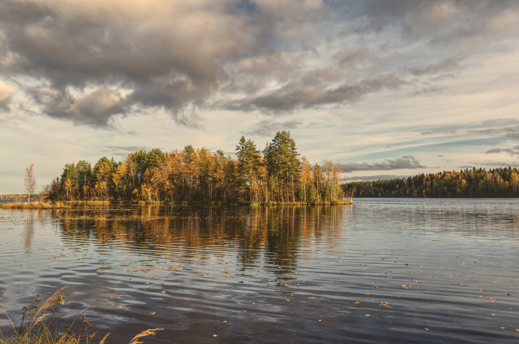 Фотография Александра Лазутина Фотография Александра Лазутина
