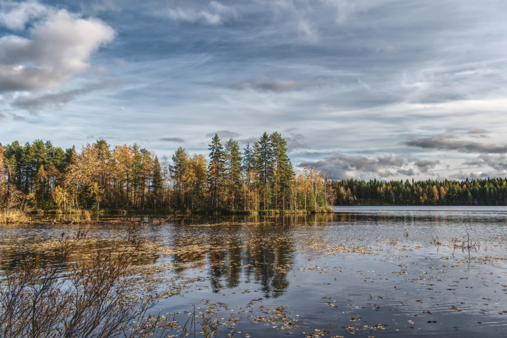 Фотография Александра Лазутина Фотография Александра Лазутина
