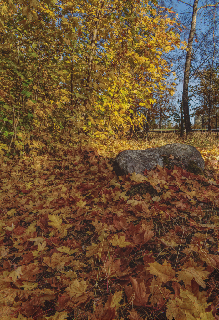 Фотография Александра Лазутина Фотография Александра Лазутина