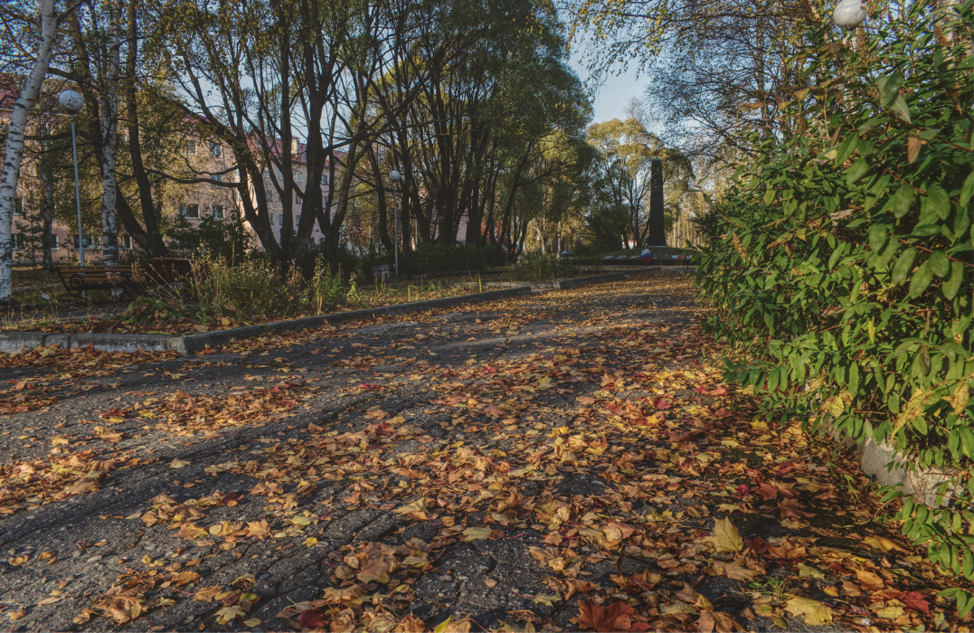 Фотография Александра Лазутина Фотография Александра Лазутина