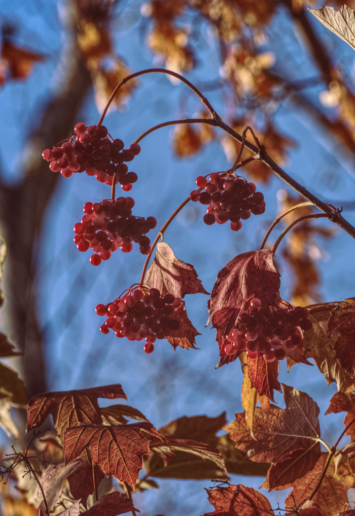 Фотография Александра Лазутина Фотография Александра Лазутина