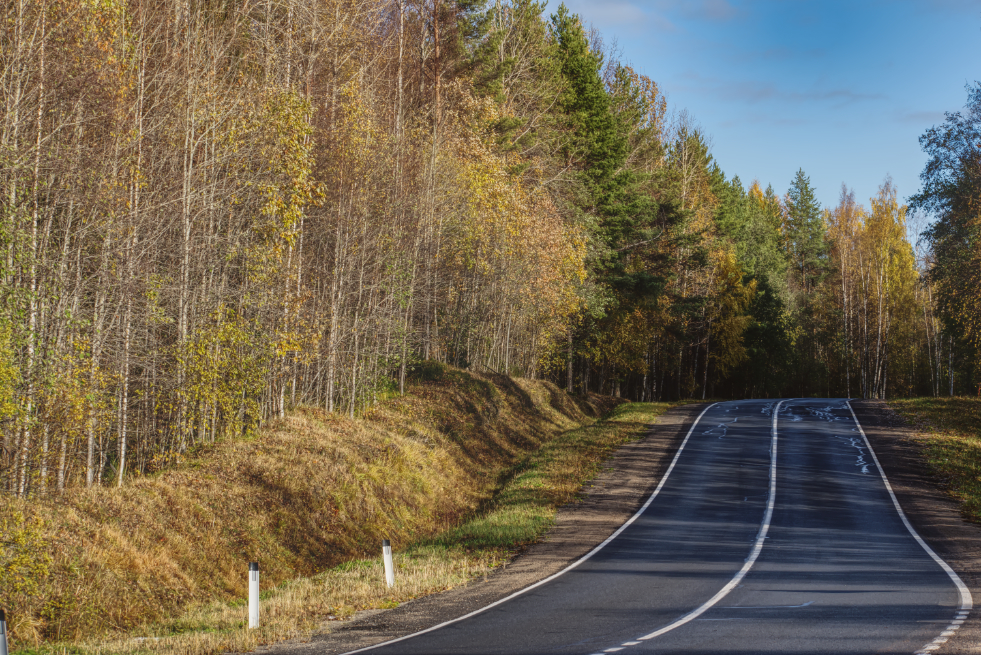 Фотография Александра Лазутина Фотография Александра Лазутина