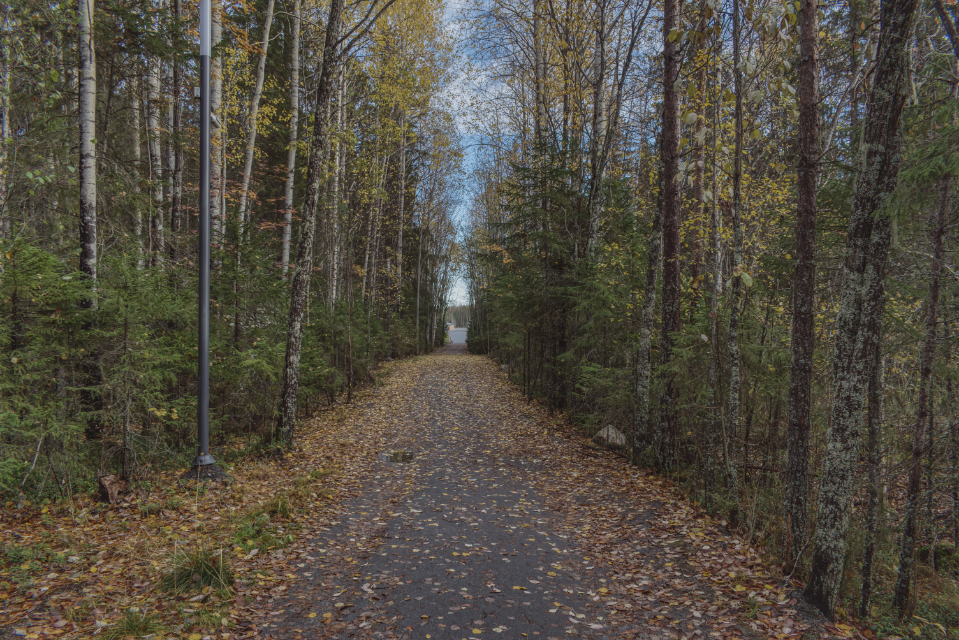 Фотография Александра Лазутина Фотография Александра Лазутина