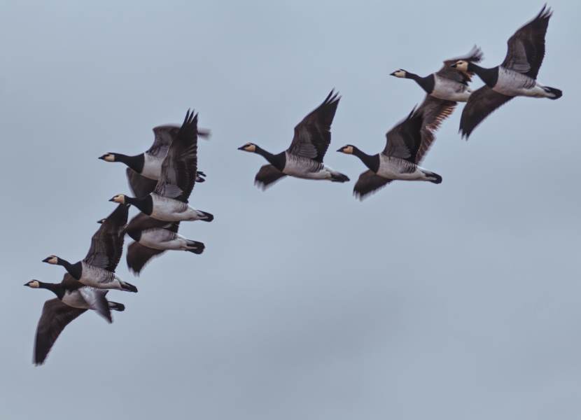 Фотография Александра Лазутина Фотография Александра Лазутина