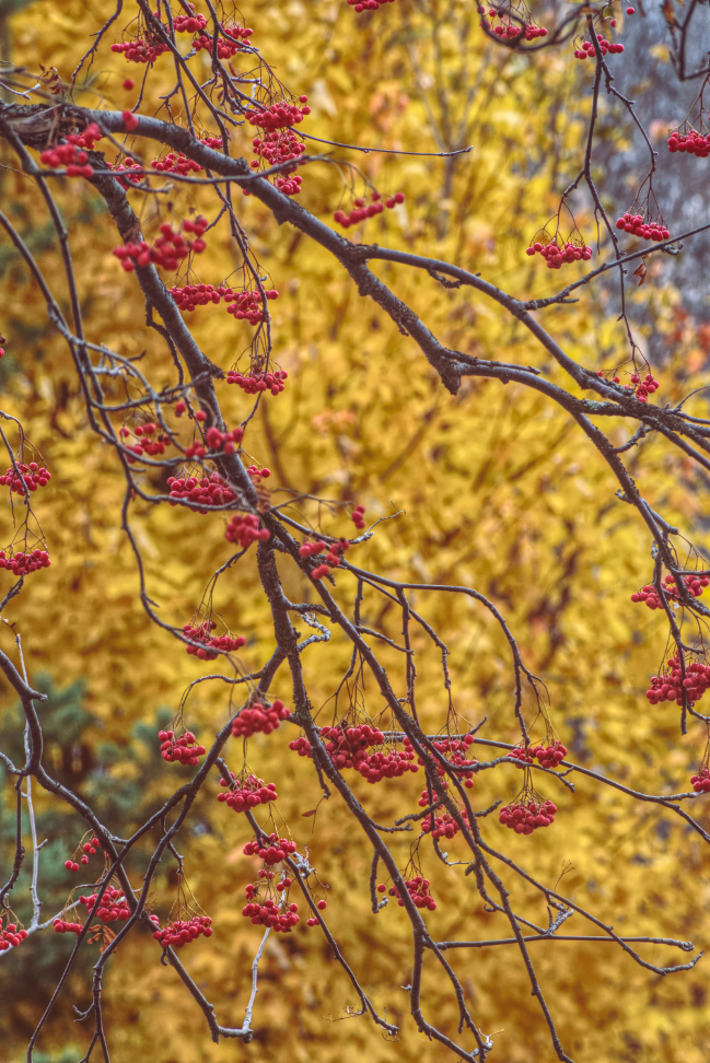 Фотография Александра Лазутина Фотография Александра Лазутина