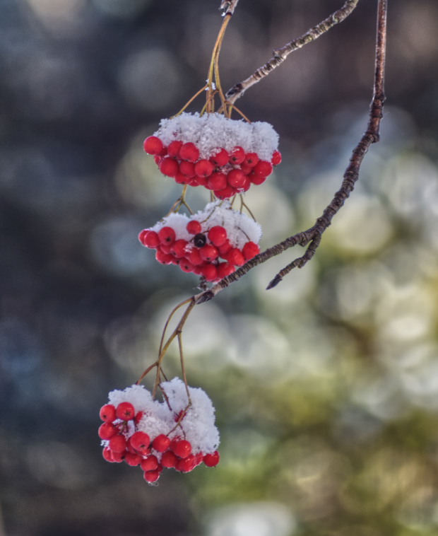 Фотография Александра Лазутина Фотография Александра Лазутина