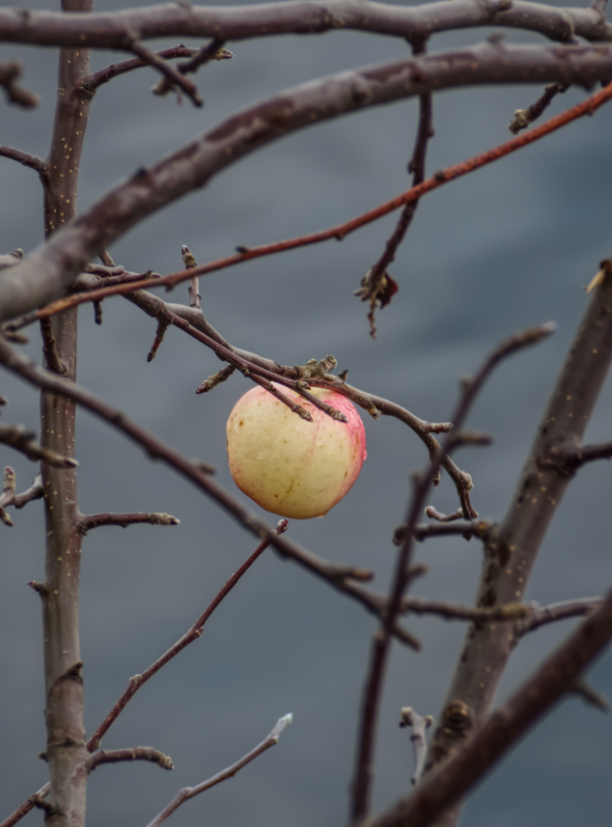 Фотография Александра Лазутина Фотография Александра Лазутина