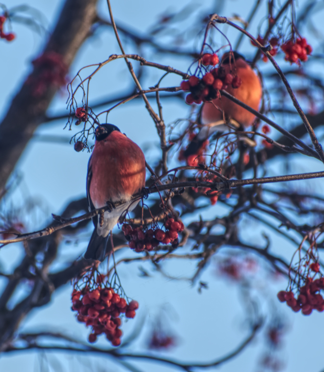 Фотография Александра Лазутина Фотография Александра Лазутина