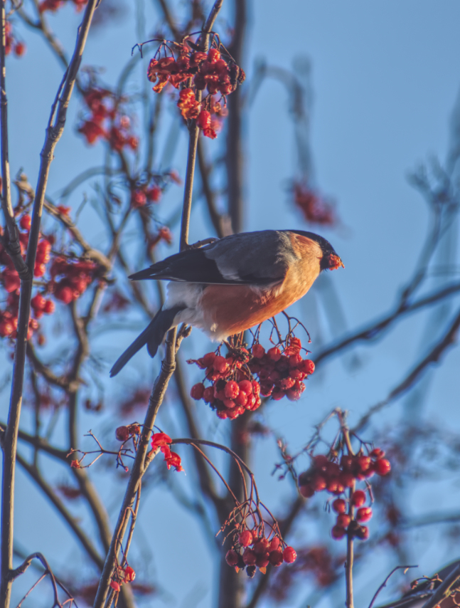 Фотография Александра Лазутина Фотография Александра Лазутина