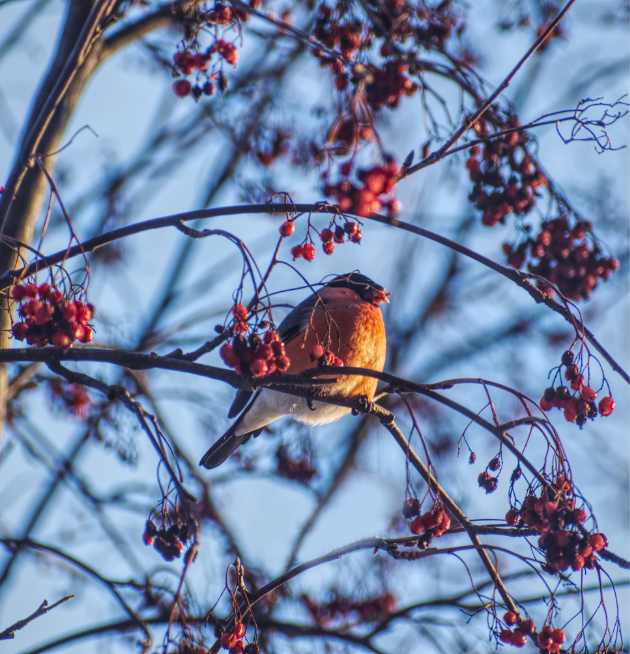 Фотография Александра Лазутина Фотография Александра Лазутина