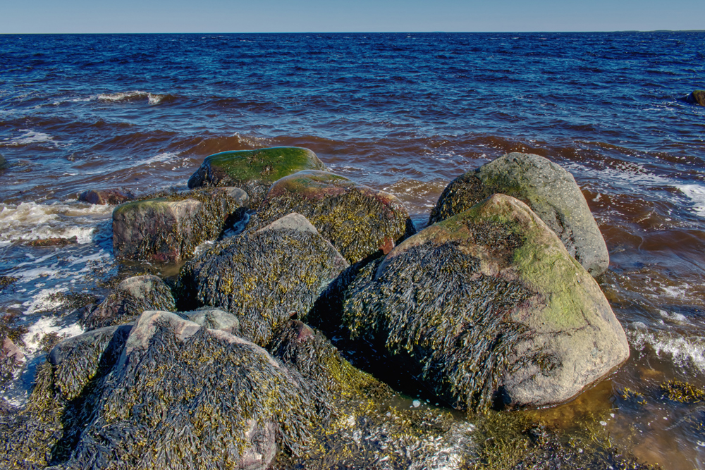 Фотография Александра Лазутина Фотография Александра Лазутина