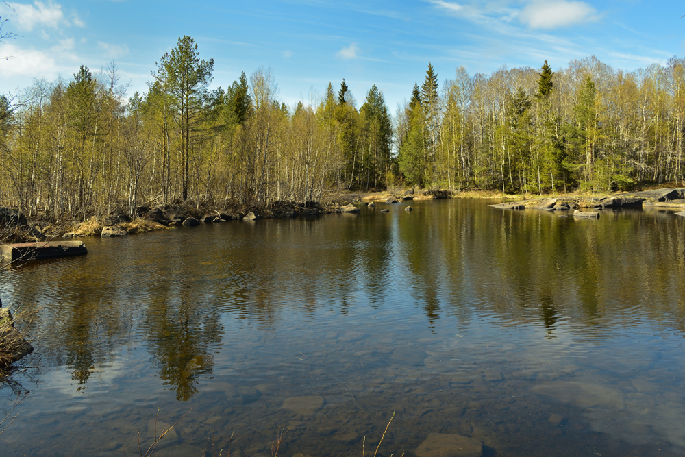 Фотография Александра Лазутина Фотография Александра Лазутина