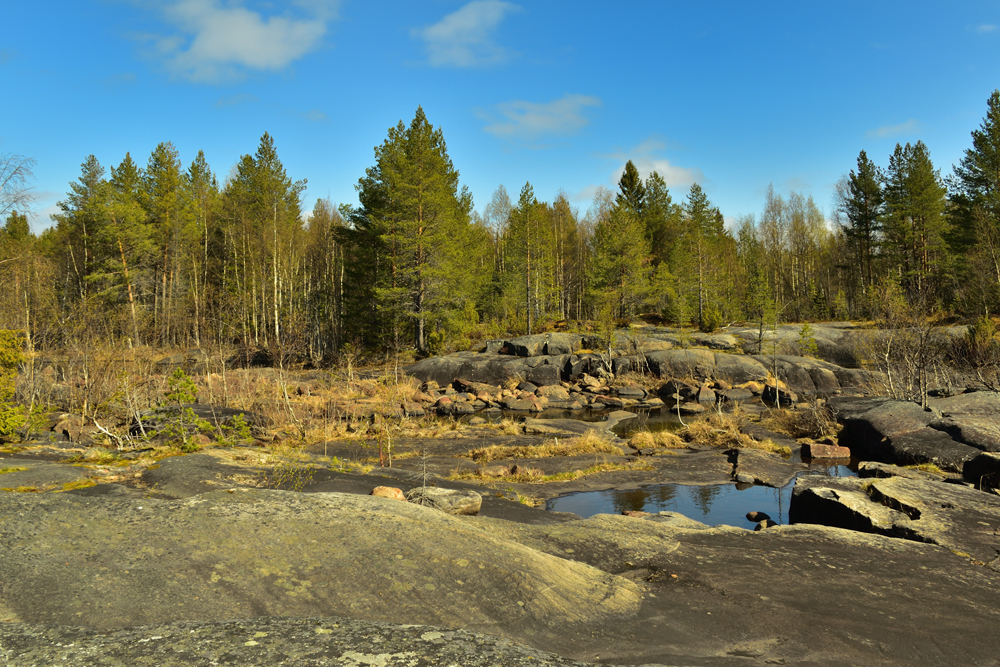 Фотография Александра Лазутина Фотография Александра Лазутина
