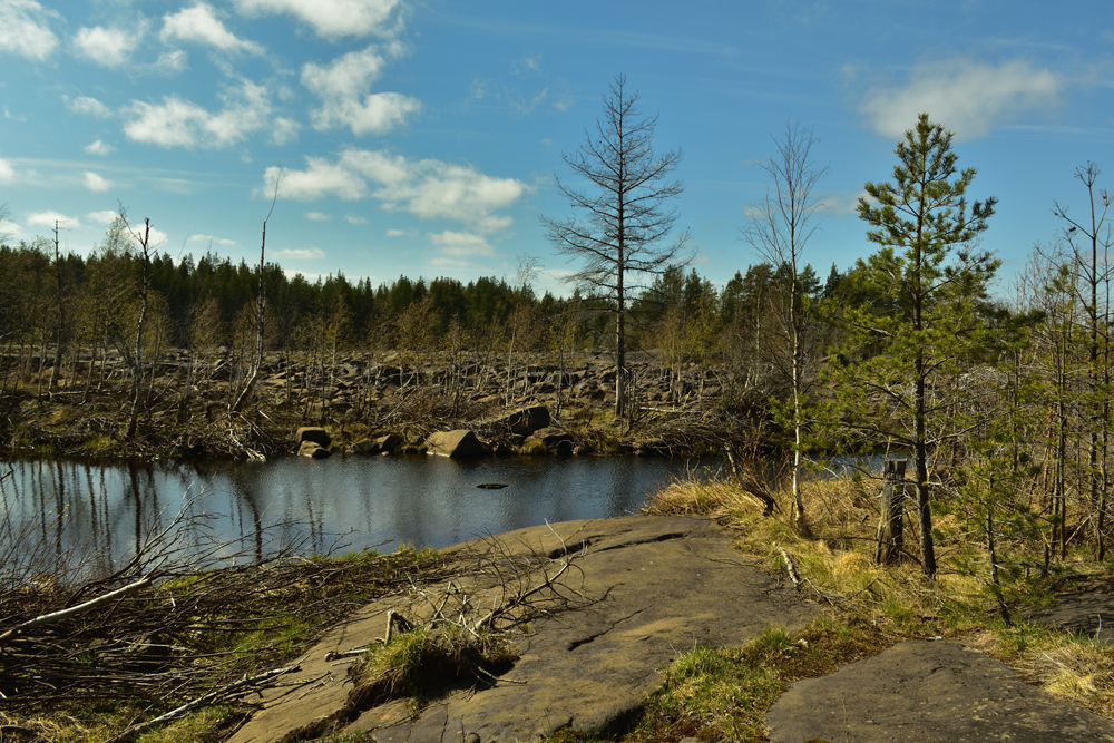 Фотография Александра Лазутина Фотография Александра Лазутина