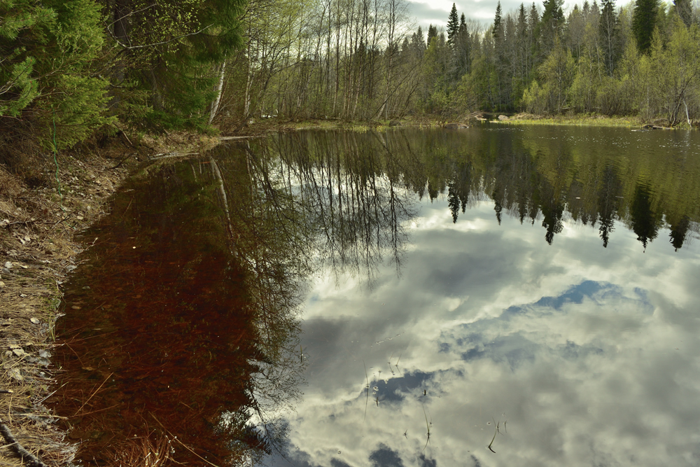 Фотография Александра Лазутина Фотография Александра Лазутина