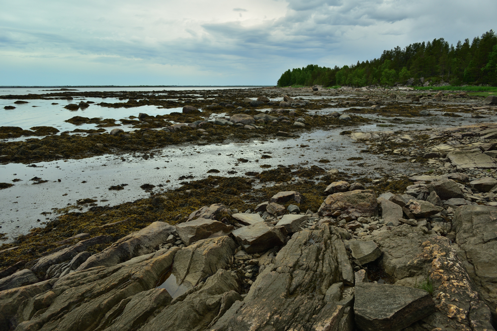 Фотография Александра Лазутина Фотография Александра Лазутина