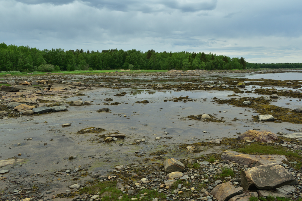 Фотография Александра Лазутина Фотография Александра Лазутина